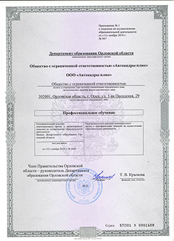 Лицензия, страница 3